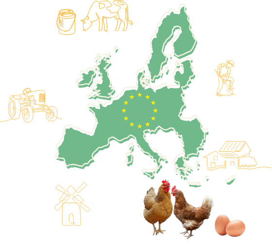 Socially responsible family owned businesses around the globe